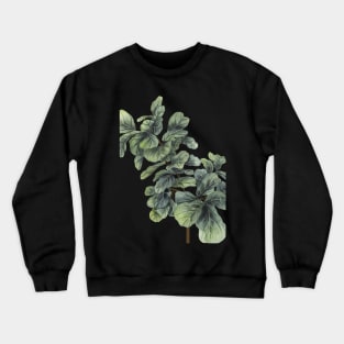 Fiddle Leaf Fig Tree Crewneck Sweatshirt